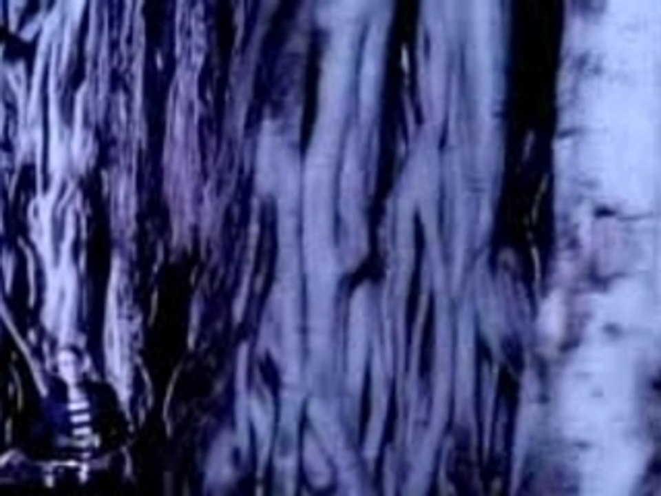 Evermore - It's too late