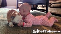 The CUTEST Puppy Kisses