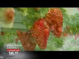Dolu Dolu Anadolu _ 10 Mart Tanıtım