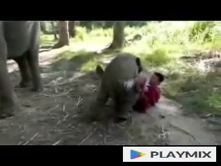 Arthur Gets Owned by a Baby Elephant