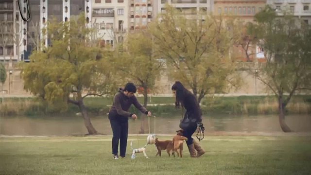 TV3 - 33 recomana - Fira de Titelles. Lleida