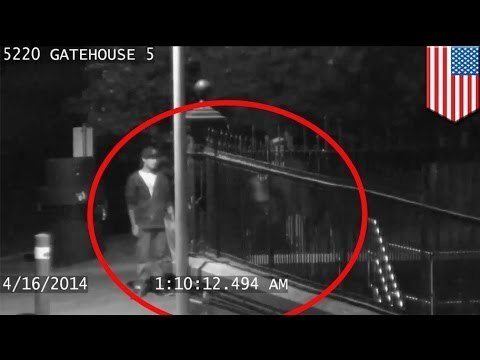 Portland pee water: drunk urinates in reservoir so city will flush 38 million gallons of water