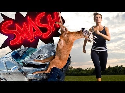 Jogger knocked out by flying deer
