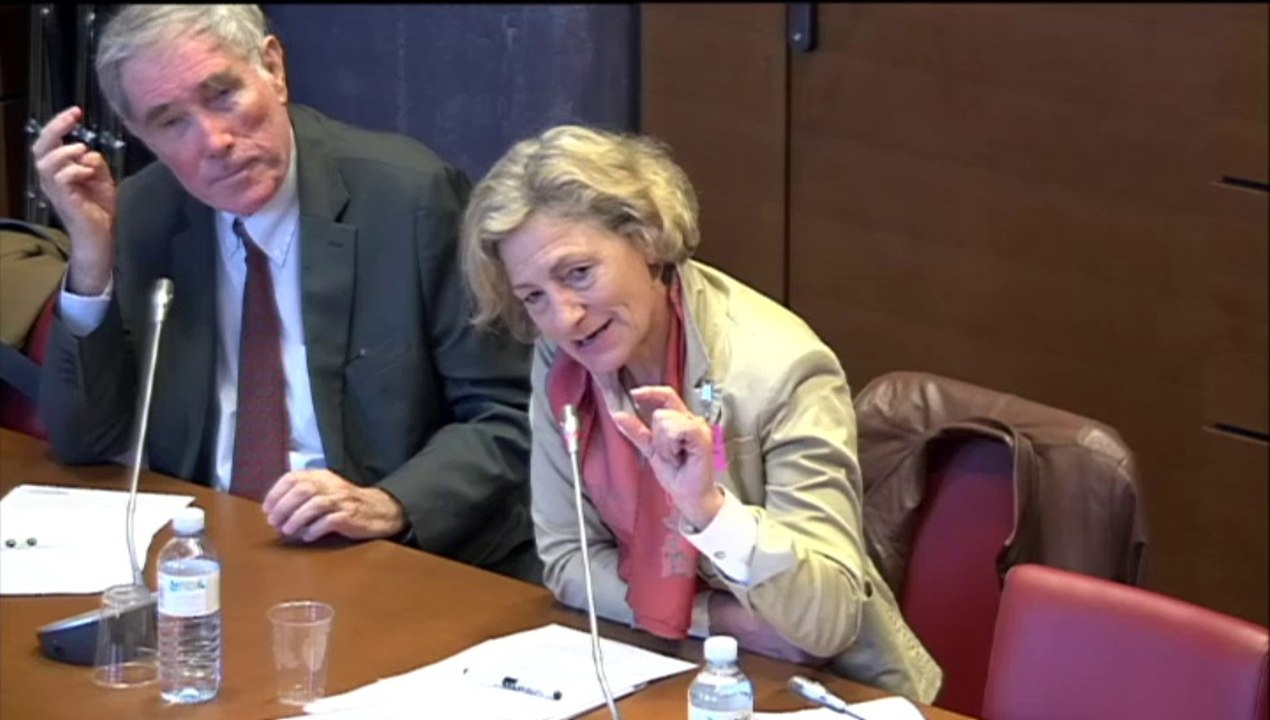 Audition de Mme Bernadette Devistor, pdte Confé...