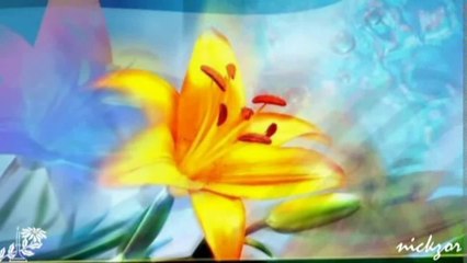 Funda Arar - Ağlasam Duymaz