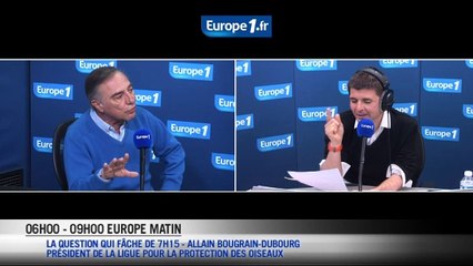 Le nouveau statut juridique des animaux : en fait-on trop ?