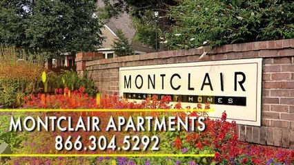 Montclair Apartments in Silver Spring, MD - ForRent.com