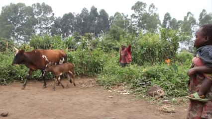 RDC: la vie a repris après le M23, mais l'occupation a marqué