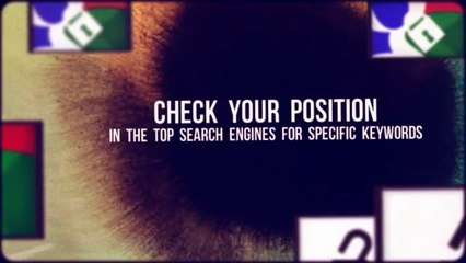 Site Rank Checker