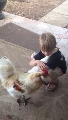 Un gamin fait un gros câlin à une poule!