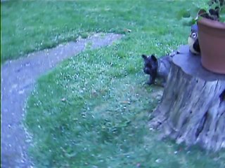 Jaudy et Chanel ce matin