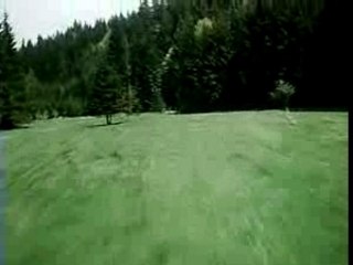 Bo-105  The flying Tiger