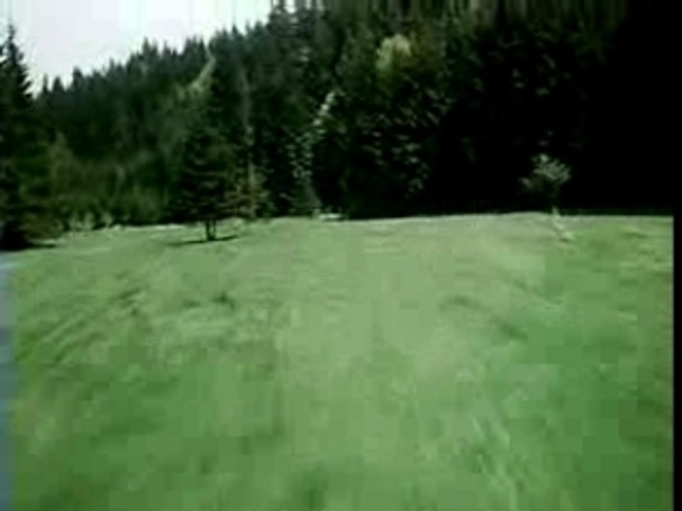 Bo-105  The flying Tiger