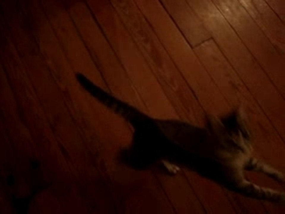 chat