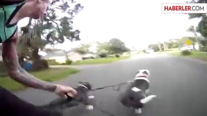 Genç Adam 4 Pitbull ile Kaykay Yaptı