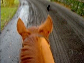 Kool piste au trot