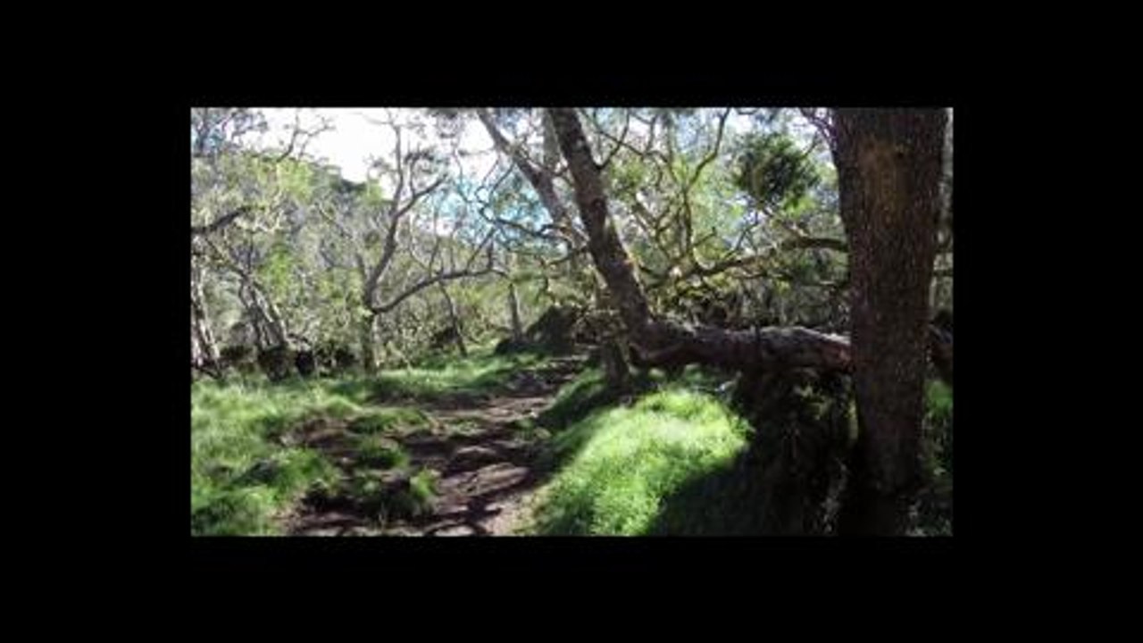 Tourisme à La Réunion
