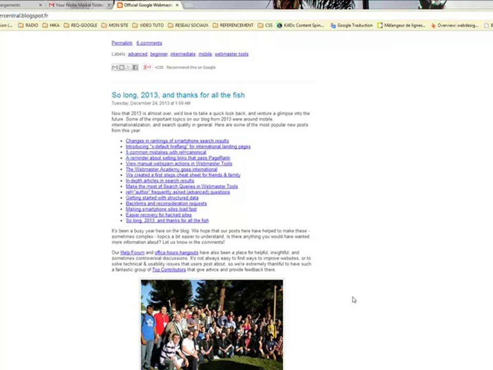 Comment utiliser NIche market par "webmaster paris"