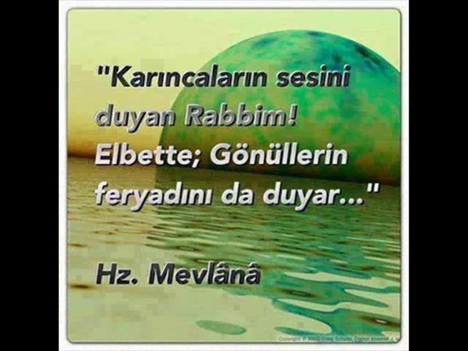 CANİKLİ FİLM