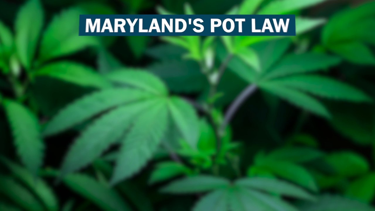 The latest state to decriminalize pot