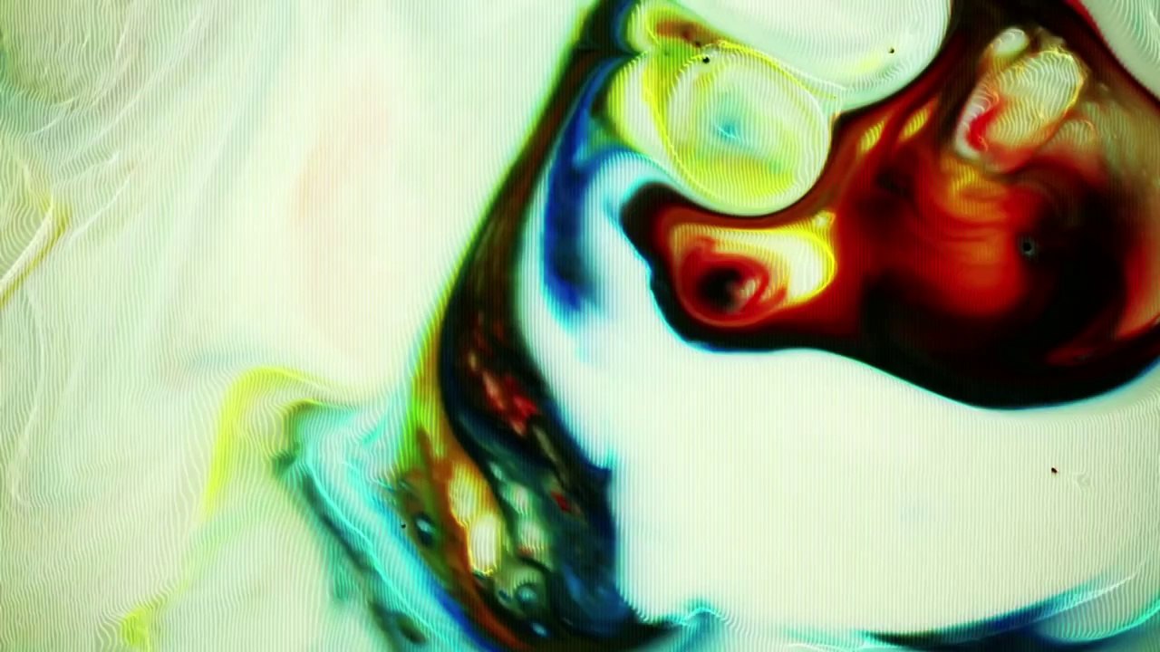 Animals As Leaders - Lippincott