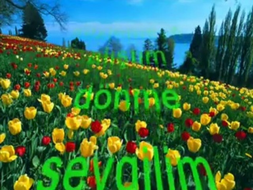 duygusal fon müziği