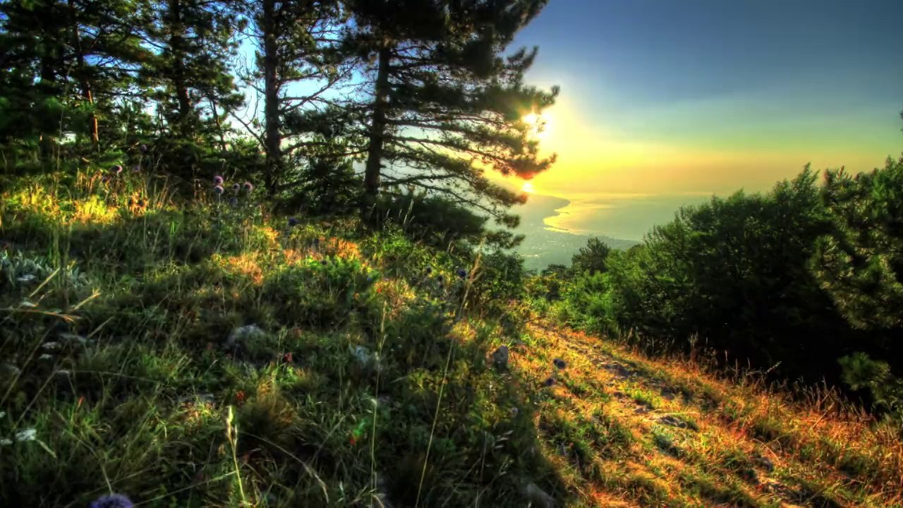 sunrise