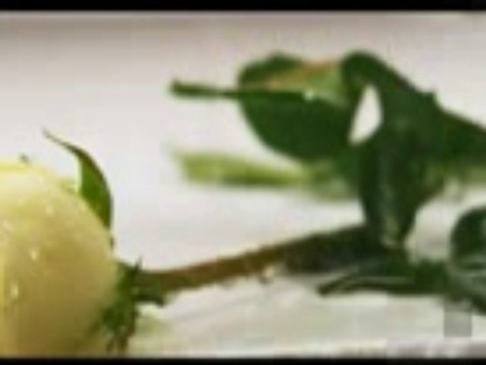 ahmet tetik aman aman klip