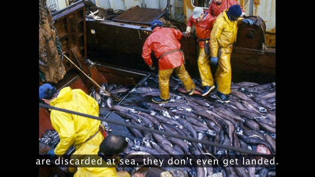 Tristram Stuart: The global food waste scandal