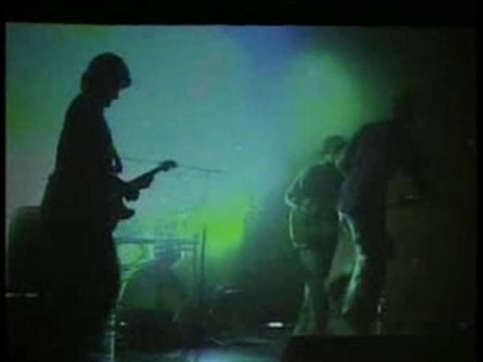 DAIPIVO live