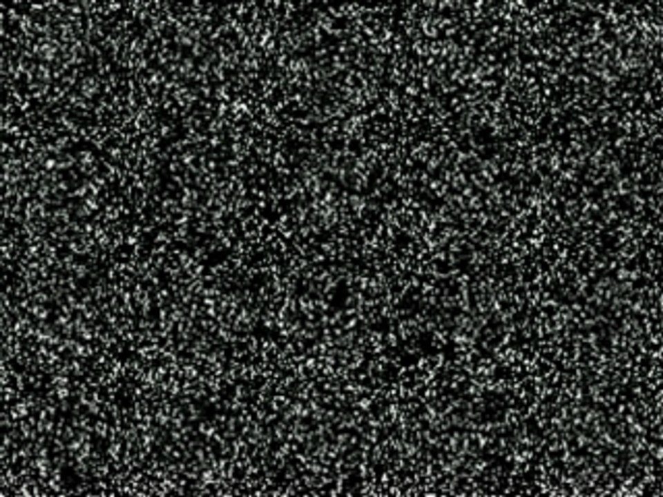 Daniel Levi  chez Dave l'Envie d'Aimer