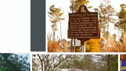 Livingston Parish Homes By Linda Howard