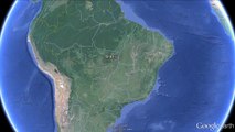 Brazilian Insect Genus Has Reversed Sex Organs