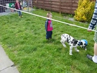 nenuko en pleins foot