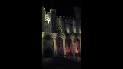 Palais des Papes, Avignon, France