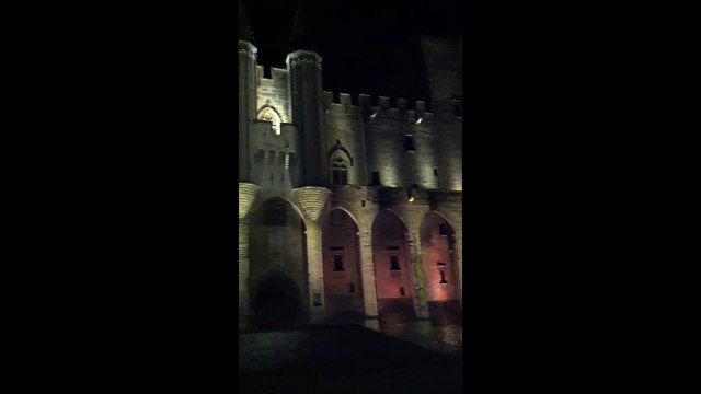 Palais des Papes, Avignon, France