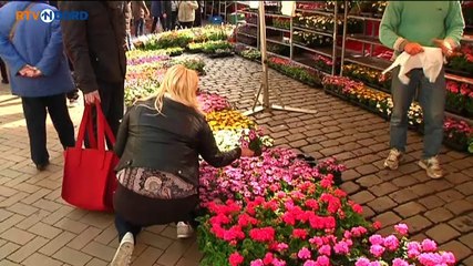 Noord Vandaag [18-4-2014] - RTV Noord