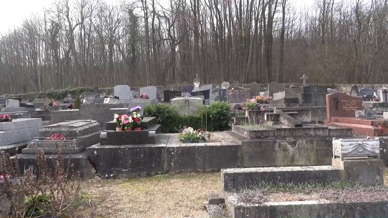 Tombe de Lino Ventura au ValSaintGermain (91) Mars 2014 Vidéo Dailymotion