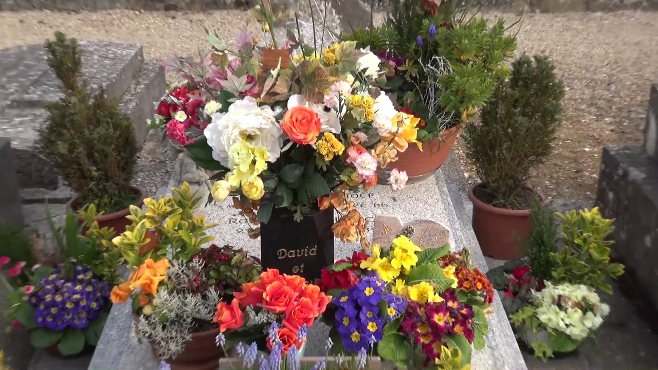 Tombe De Romy Schneider à Boissy-sans-Avoir (78) - Mars 2014