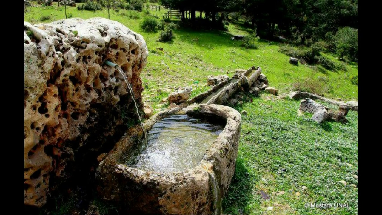 Çeşmeler