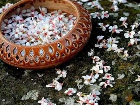 BRIGITTE HALLET alias JESEBEL Quand les hommes vivront d'amour