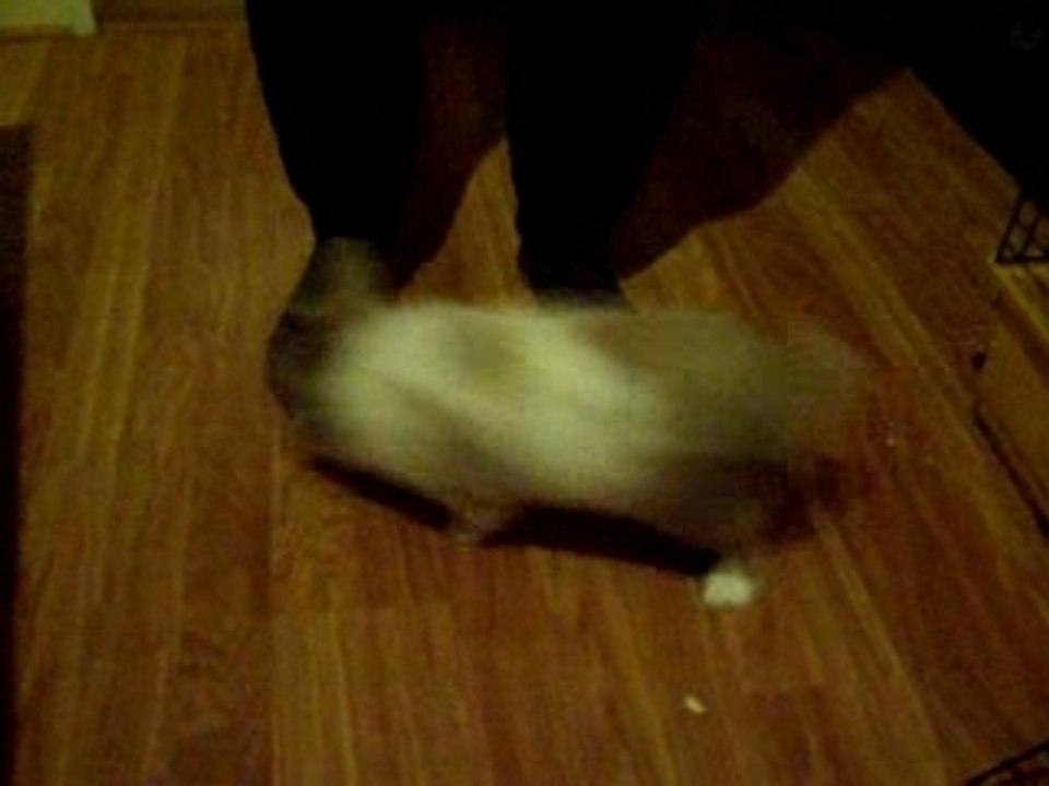 Mushu Fétichiste des pieds