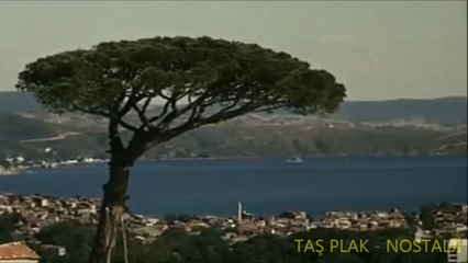 Hamiyet Yüceses - Alişimin Kaşları Kara - Taş Plak Kaydı