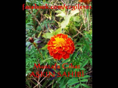 Mustafa Cihat-AŞKIN SAHİBİ (Tut Elimizden Albümü)