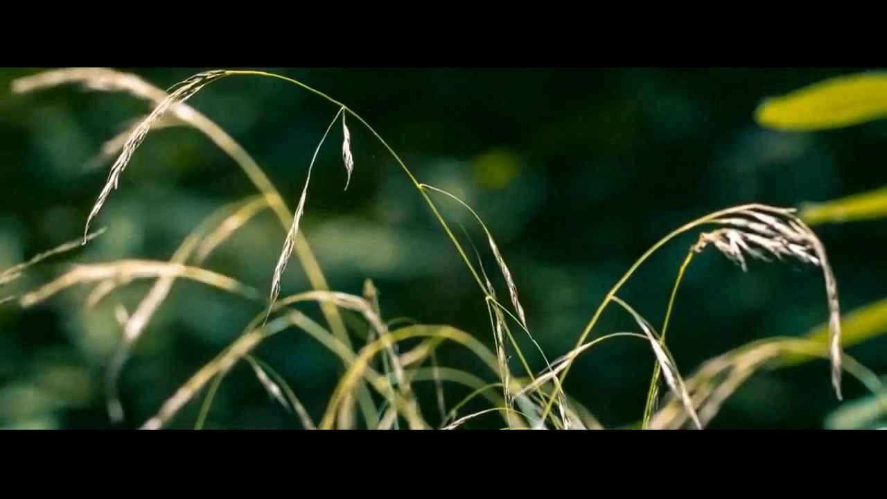 خالد الراشد - ذكر الموت حياة و نسيانه غفلة  - أروع موعظة على اليوتيوب HD