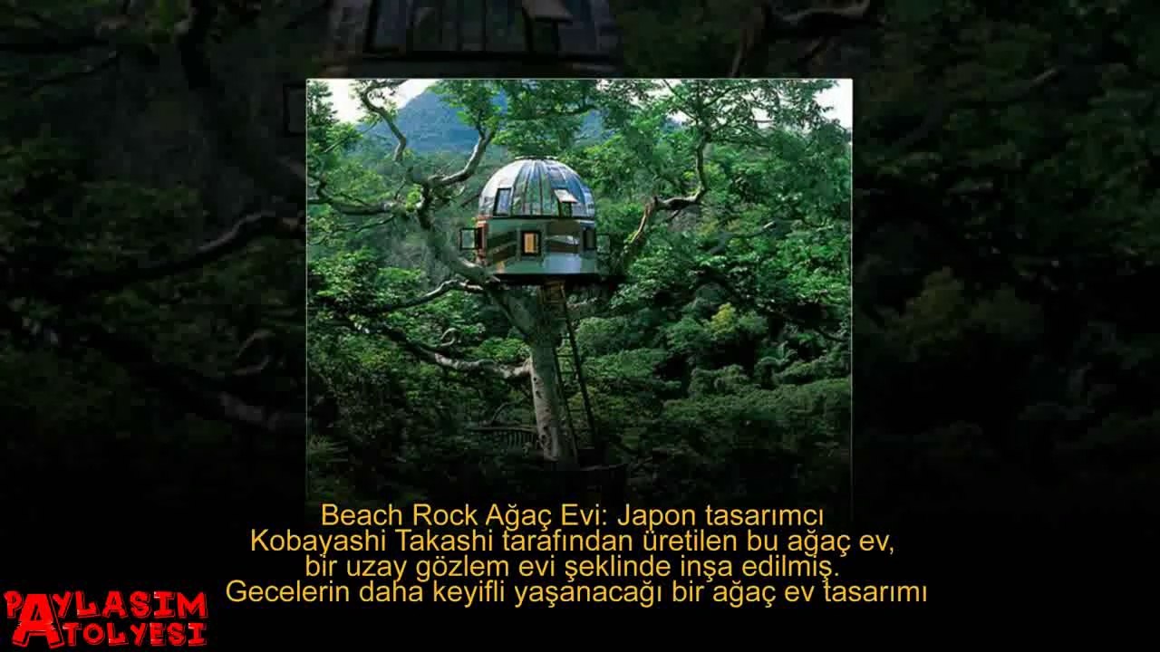 Dünyanın En Havalı 5 Ağaç Evi