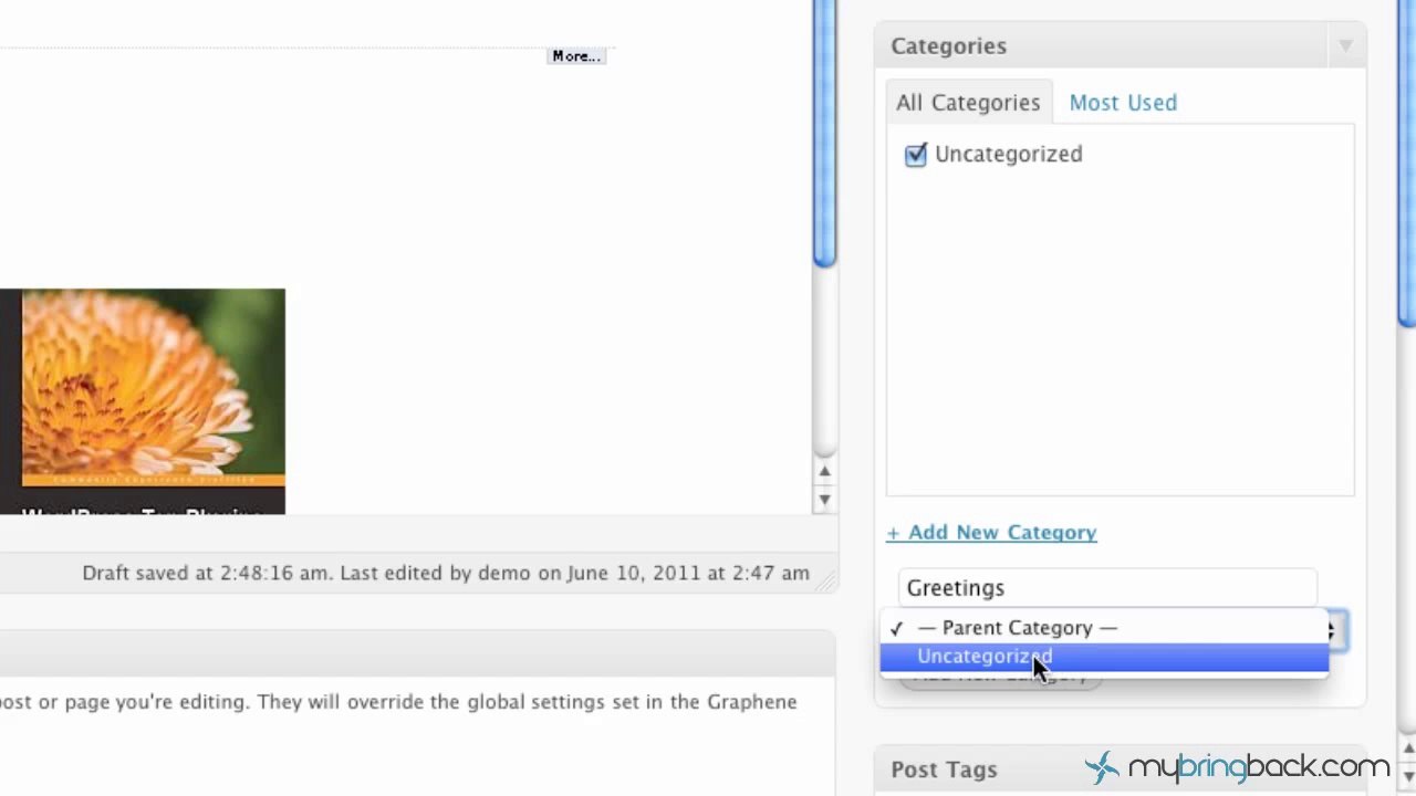 Learn Wordpress 8- Adding Categories