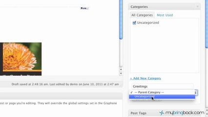 Learn Wordpress 8- Adding Categories