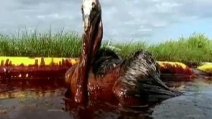 Locals continue to feel effects of BP spill