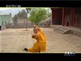 Shaolin Shi Kung Fu